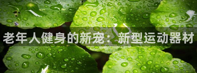 九游体育官方正版app集团:老年人健身的新宠:新型运动器材