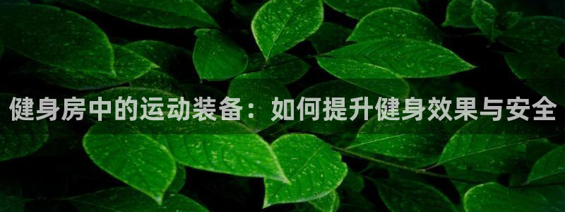 九游体育官网下载官方客服电话:健身房中的运动装备:如何提升健