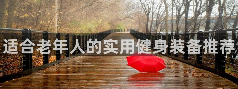 九游体育官方正版app娱乐首页网站大全:适合老年人的实用健身