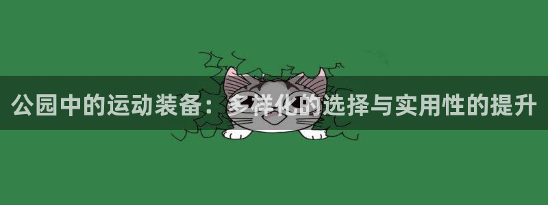 注册九游体育官方正版app:公园中的运动装备:多样化的选择与